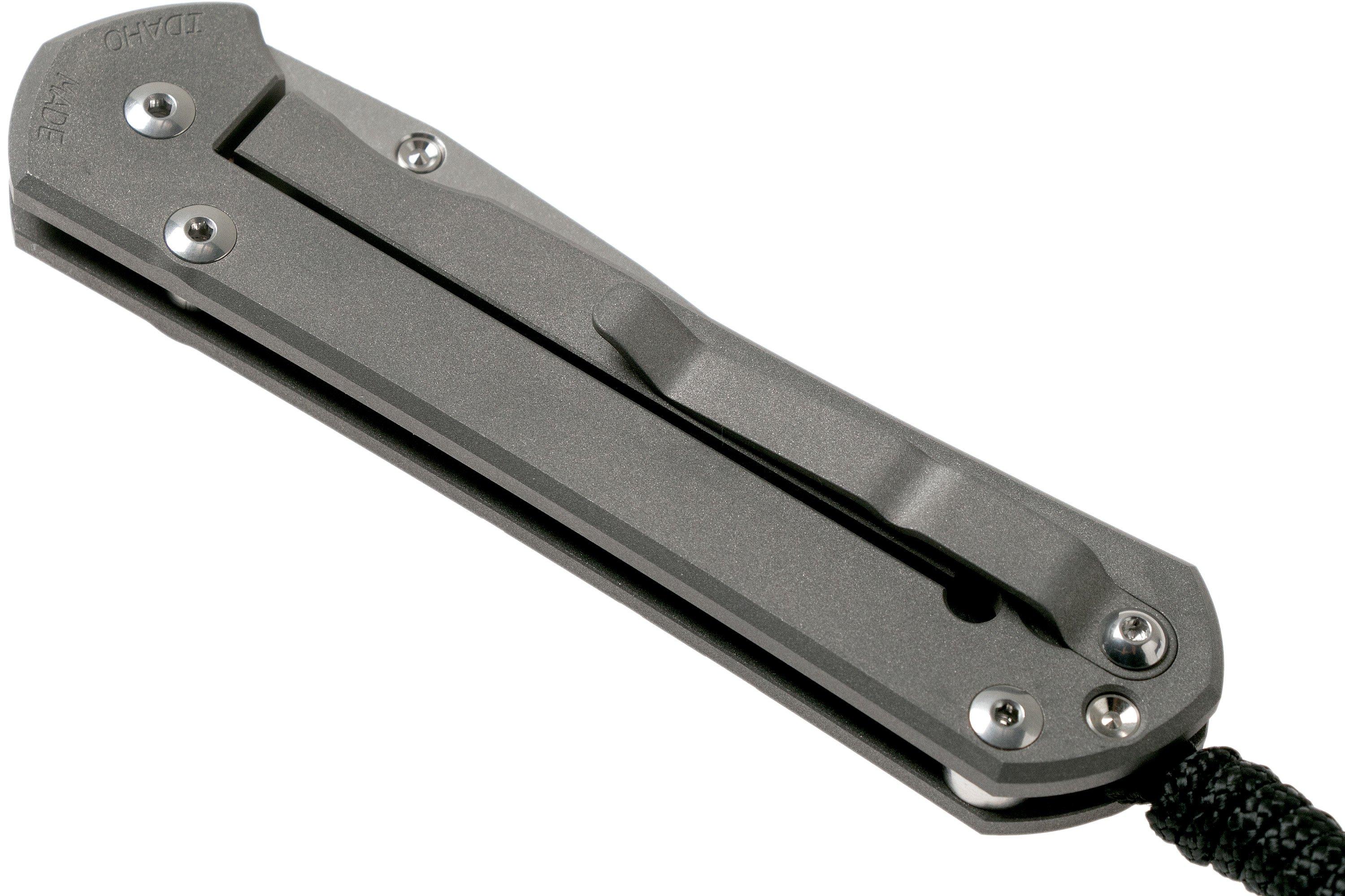 Chris Reeve Large Sebenza 21 Rhino CGG L21-1256 pocket knife