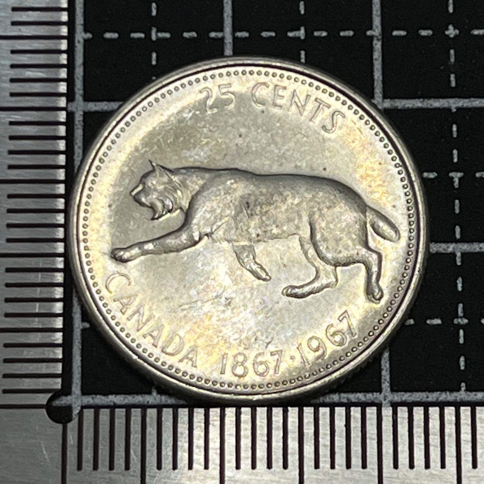 銀貨】1967年 カナダ建国100周年記念 25セント／ボブキャット