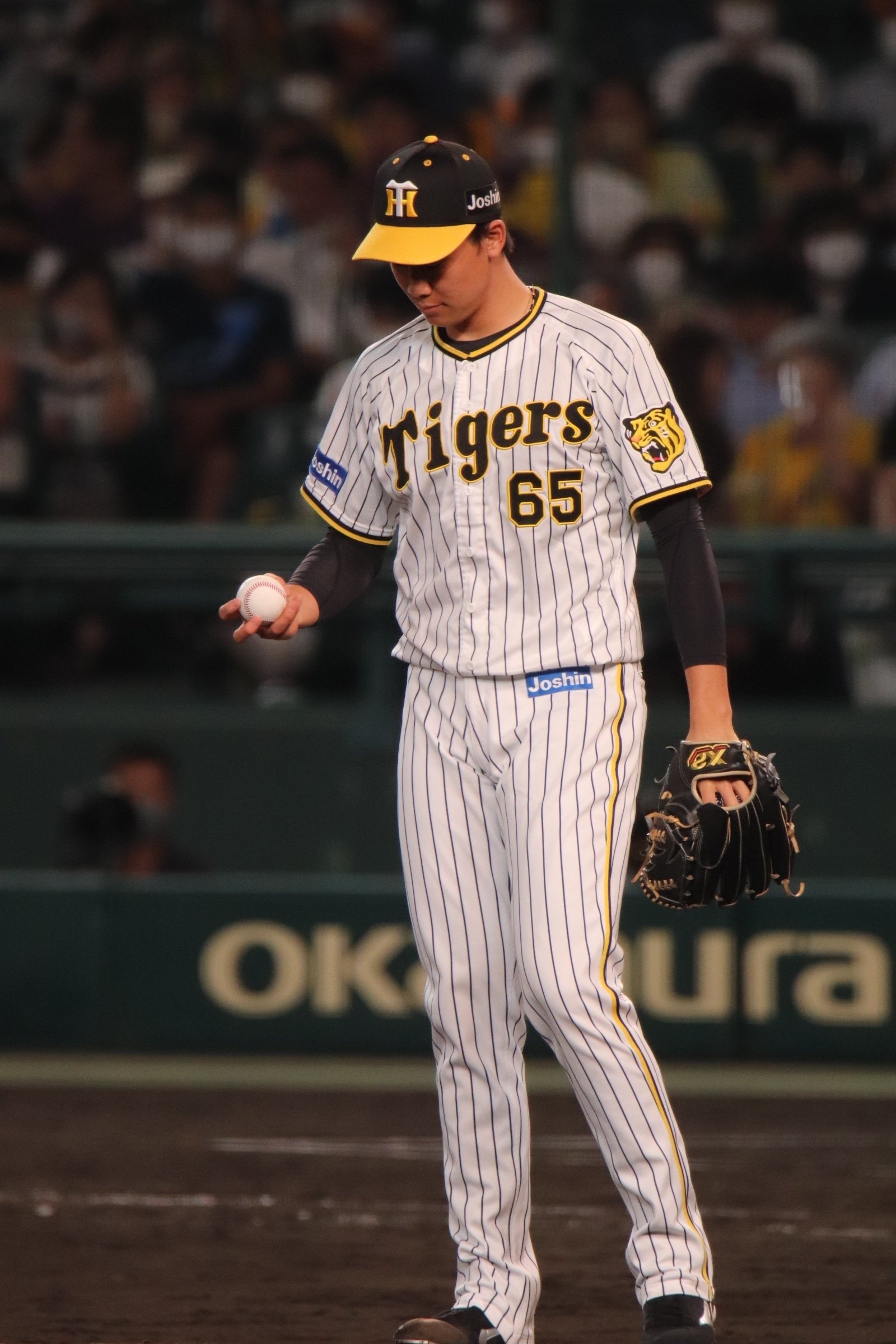 独立リーグの希望の星〜阪神タイガース湯浅京己投手を応援しよう