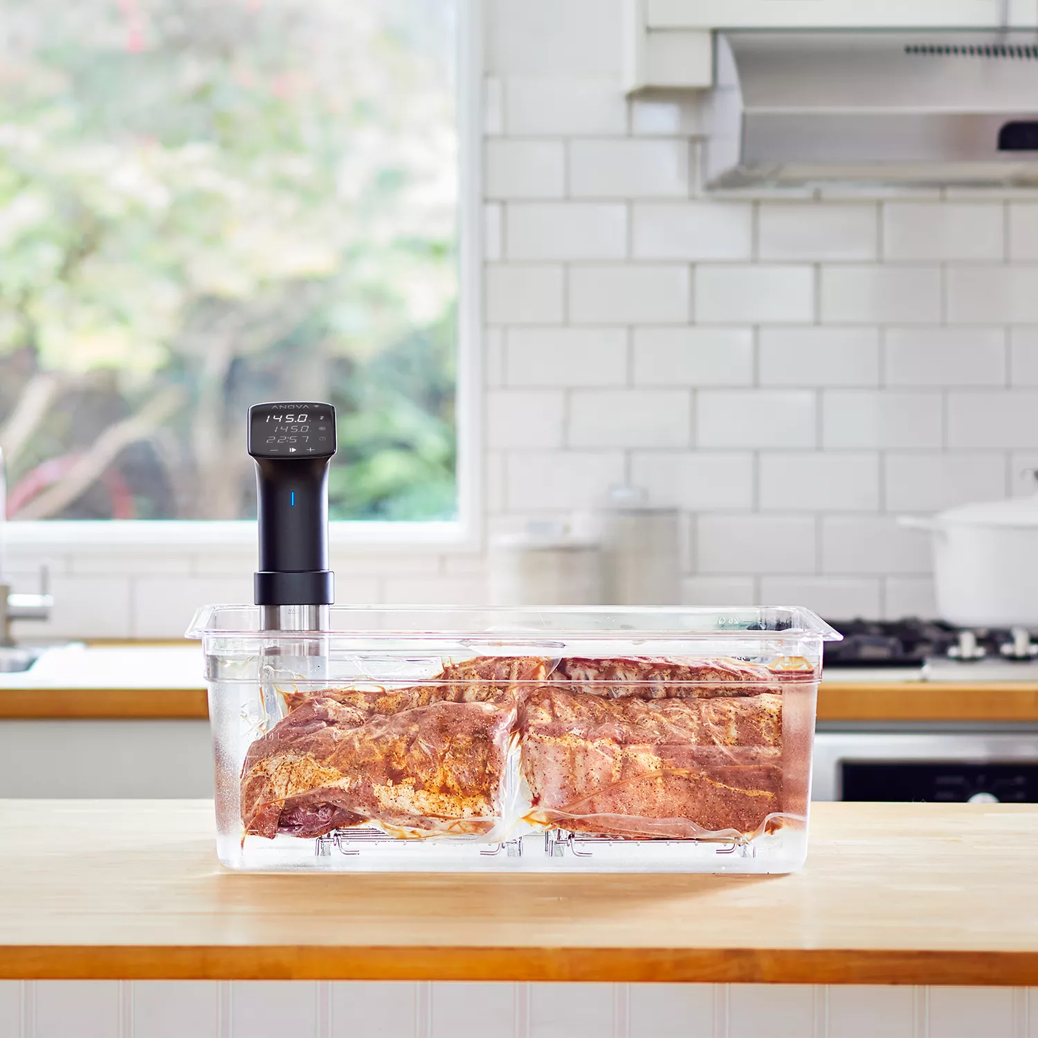 Anova Precision Cooker PRO | Sur La Table