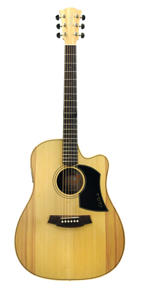Cole Clark Fat Lady 1AC Acoustic Guitar Review - Premier Guitar