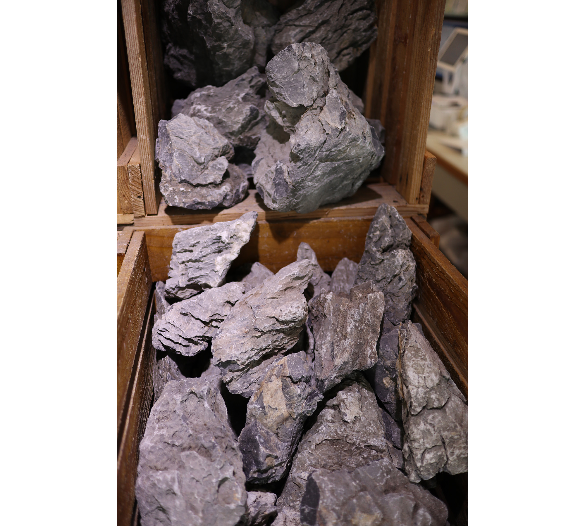 7月14日 ADA万天石20kg、龍王石20kg入荷。｜AQUA SHOP