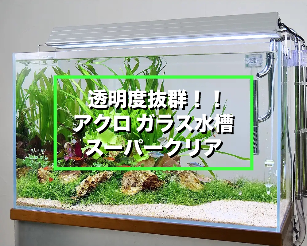 透明水槽ならアクロ スーパークリア！おすすめする4つの理由