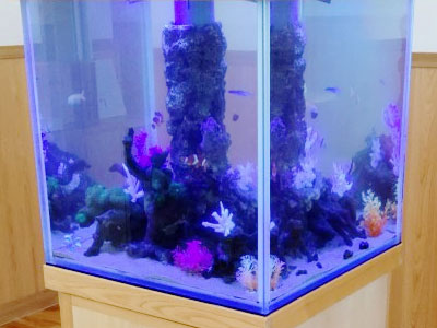 海水魚アクアリウム水槽セット｜水槽ラインナップ｜ISHIHARA Aquarium