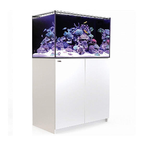 REEFER 250（リーファー250）オーバーフロー水槽の通販 | 海水魚がいる