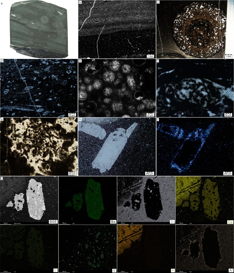 Nitrate reduction of dissolved organic carbon exported by episodic