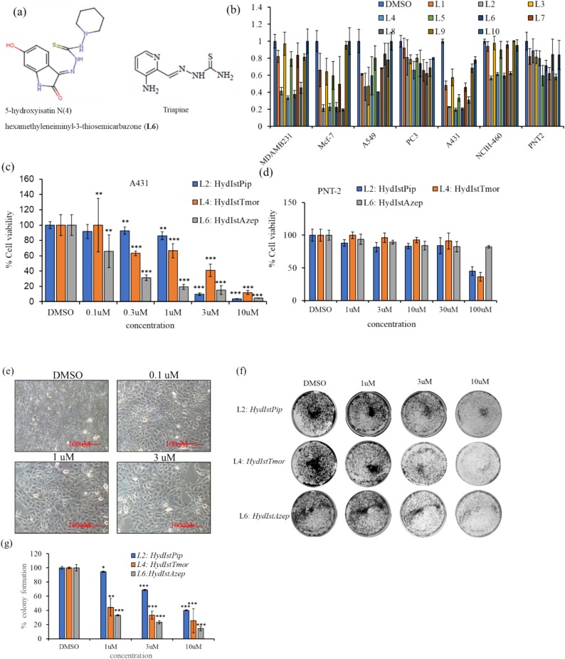 Synthesis of 5-hydroxyisatin thiosemicarbazones, spectroscopic