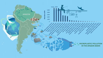 Microplastic pollution in the Amazon Basin: Current scenario