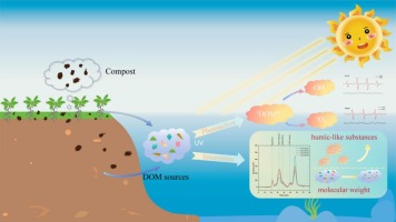 Photochemistry of dissolved organic matter derived from compost