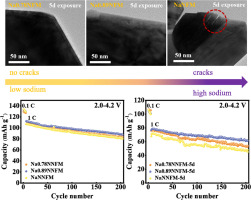 Structural characteristics, electrochemical performance, and