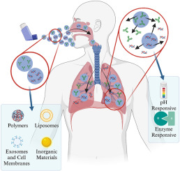 Inhalable micro/nanoparticles for pulmonary delivery of