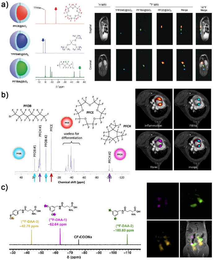 Stimuli-responsive 19F MRI probes: From materials design to in