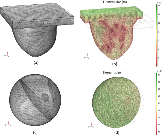 A computationally efficient FEM platform for comprehensive