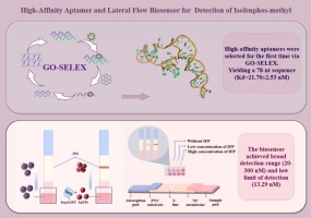 Development of a graphene oxide-SELEX derived aptamer and a