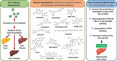 Dietary antioxidants in mitigating carbon tetrachloride-induced