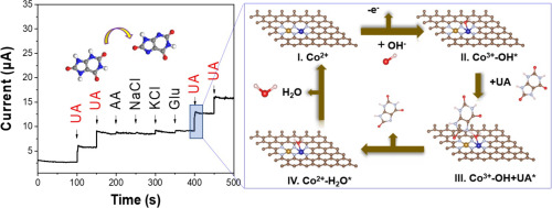 Dual-atom FeCo catalysts enhanced electrochemical biosensing