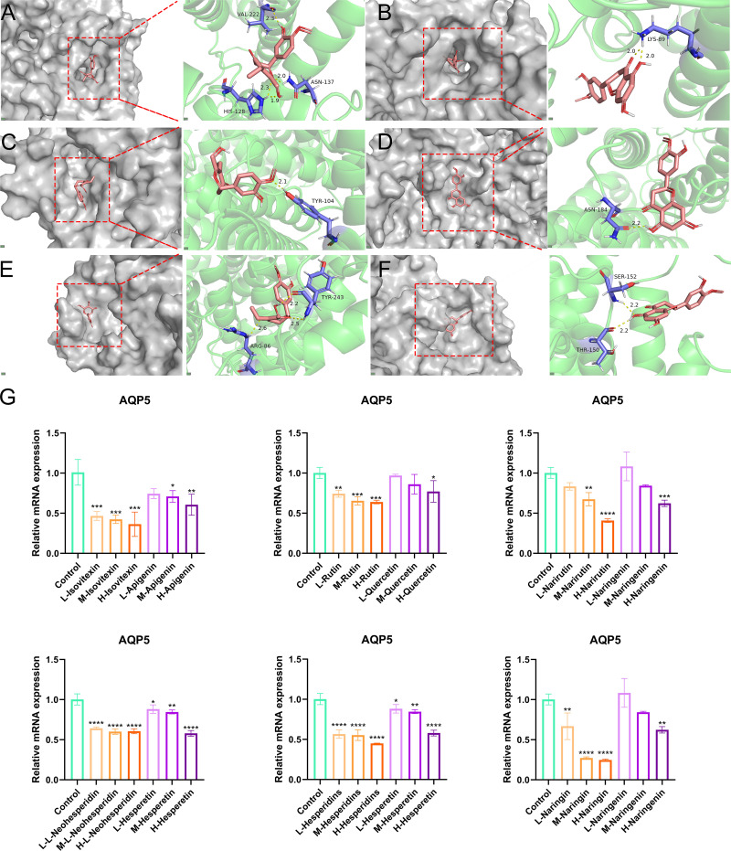 Effects of steam processing conditions on the aroma and “dryness