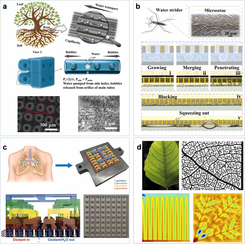 Additive manufacturing of bionic interfaces: From conceptual