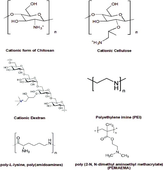 Breaking the barriers in management of Alzheimer's disease through