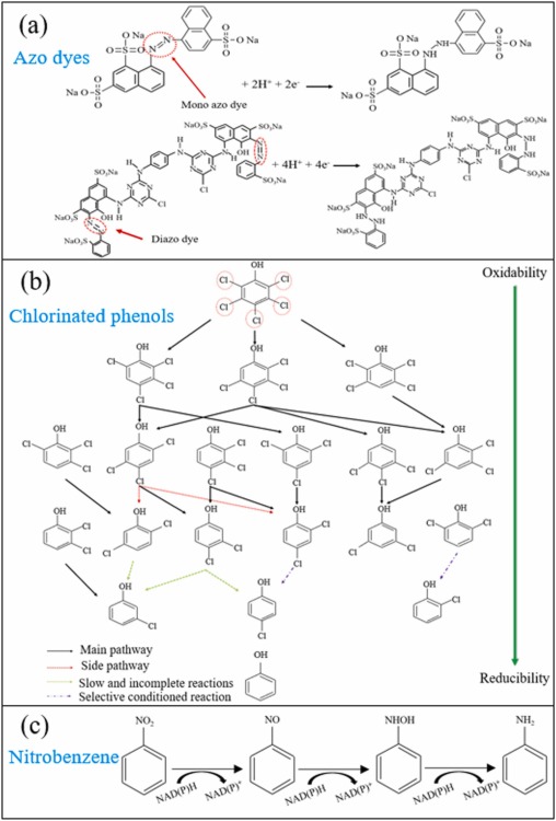 Fundamental development and research of cathodic compartment in