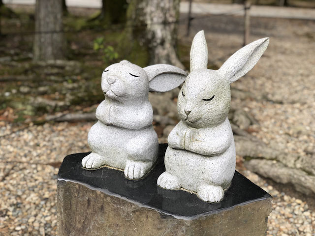 うさぎがいっぱい＆hearts;出雲大社の兎像の謎を解明の旅〜 | NAVITIME