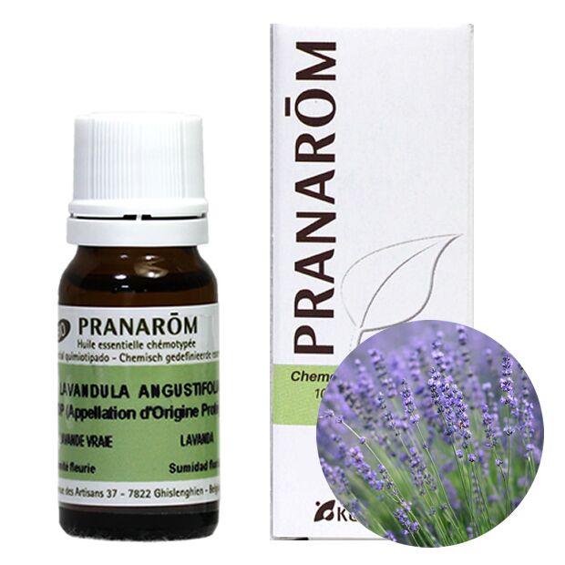 プラナロム AOP ラベンダー アングスティフォリア｜アロマ×アロマ