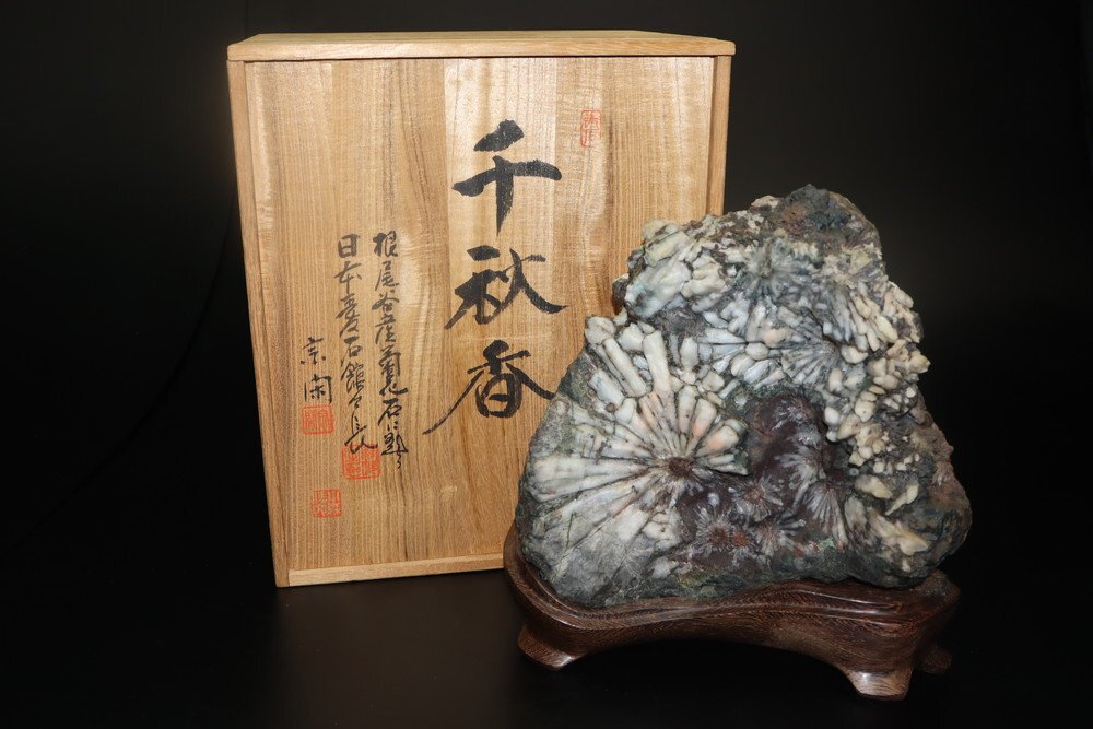 鑑賞石の値段と価格推移は？｜1210件の売買データから鑑賞石の価値が