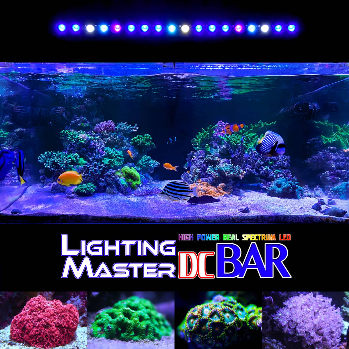 30,000K フルスペクトル 60〜90cm水槽対応 超高輝度特殊デュアルチップ