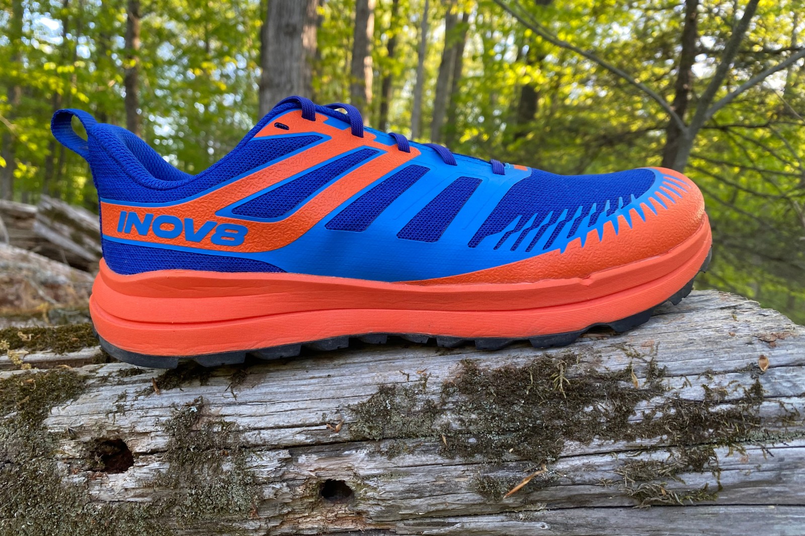 Inov8 Trailfly Zero Review: Fly-ing Under The Radar - Believe in
