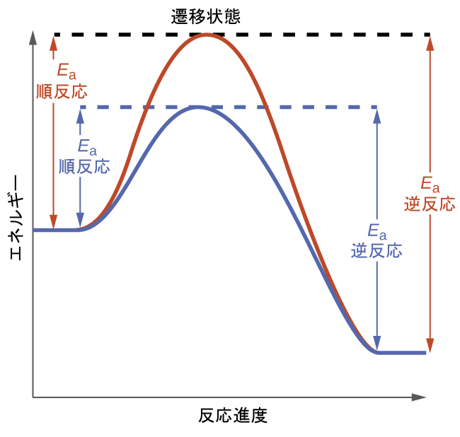 第13章 基本的な平衡の概念 | 化学 第2版