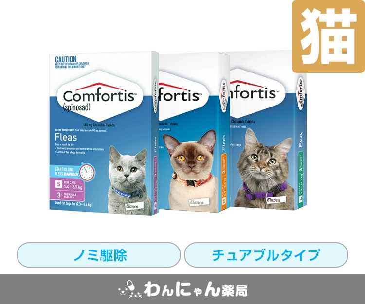 専用コンゲススロイド 猫ちゃんデニム 4yサイズのみ 新品未使用 ゴロ