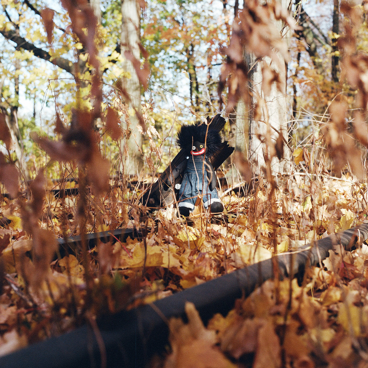 billy woods 'GOLLIWOG' – BIG LOVE RECORDS