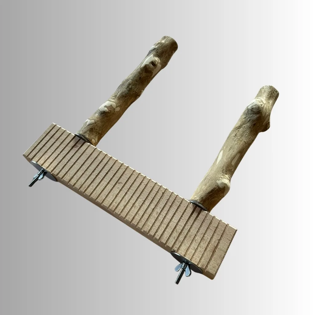 BirdARCADIA™ アーカイブ - BirdARCADIA™