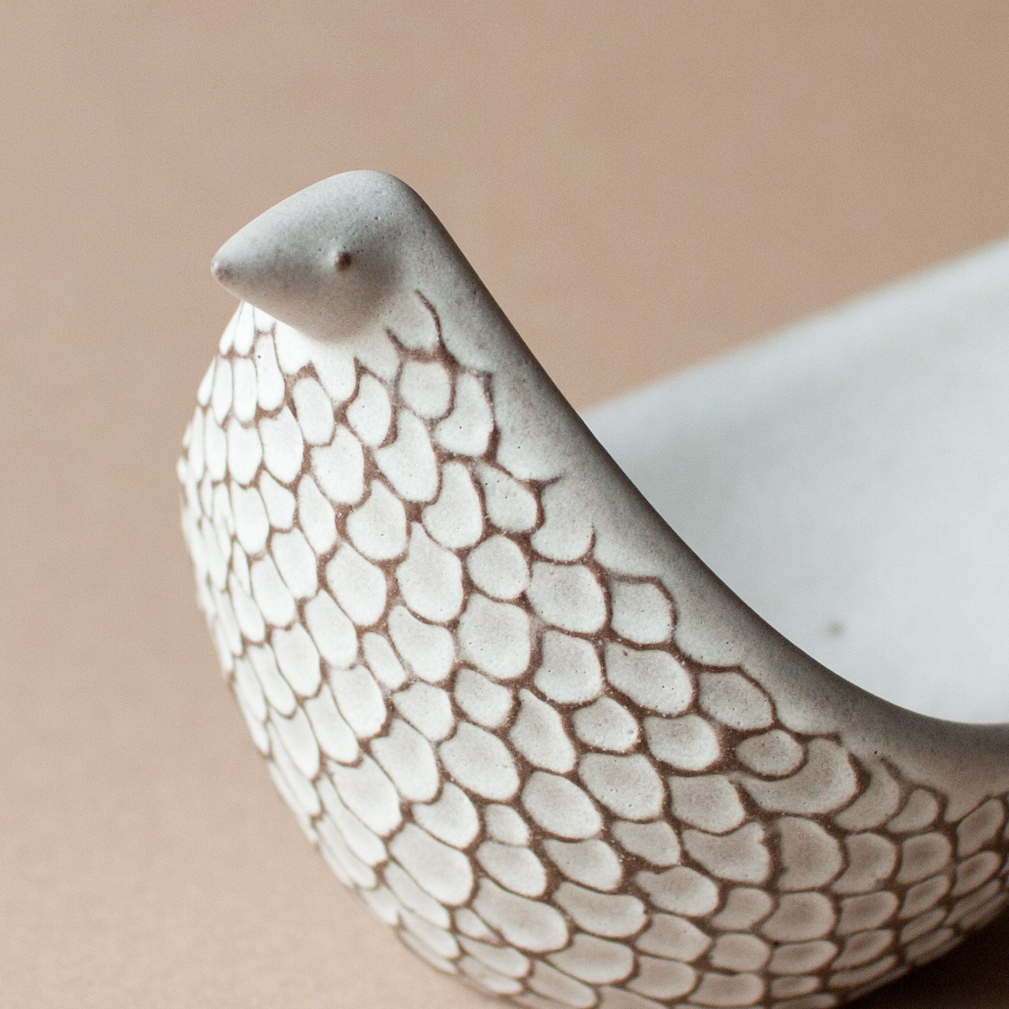 BIRD TRAY PATTERN – BIRDS' WORDS