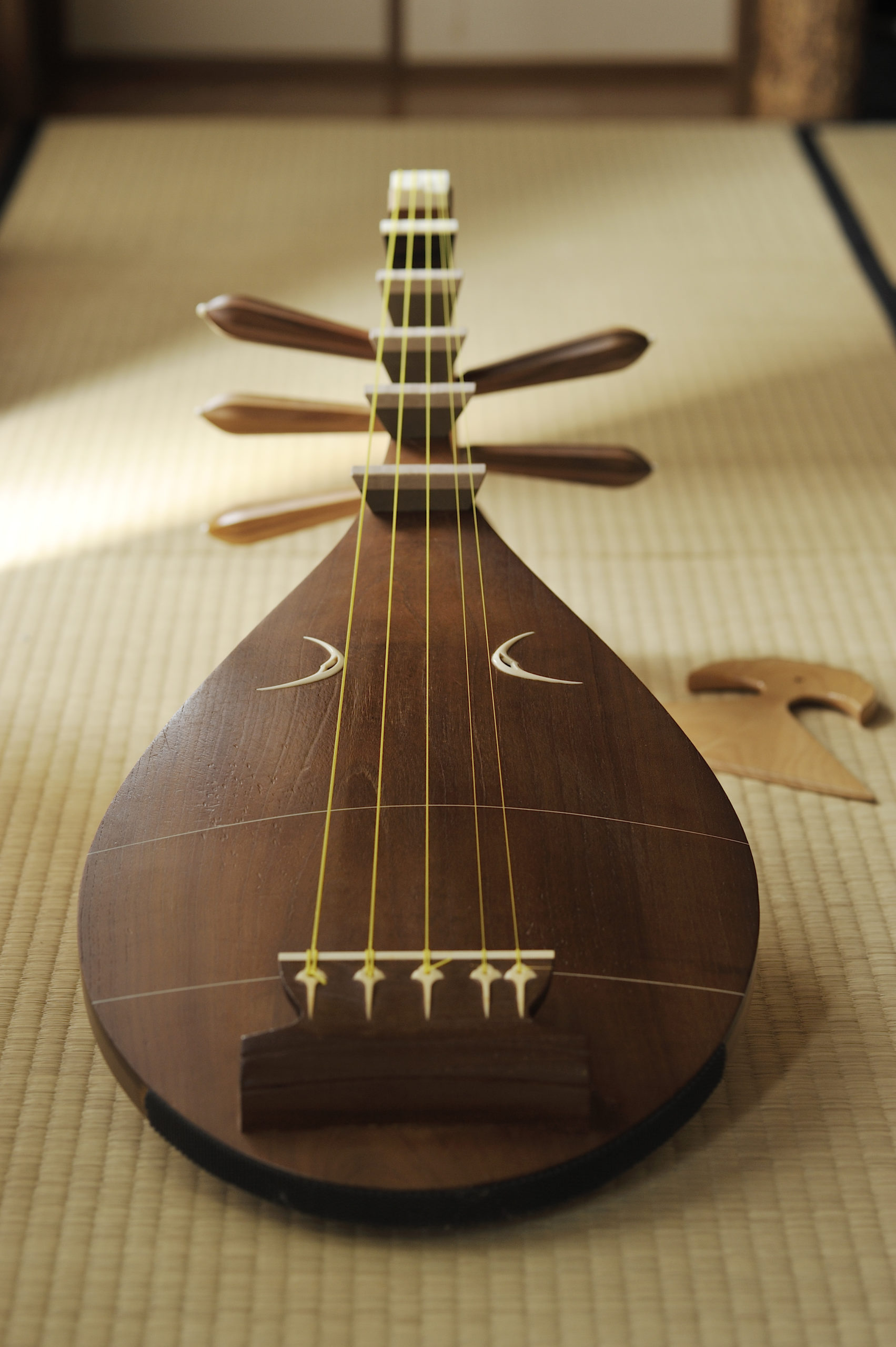 保存版】知りたい！薩摩琵琶の値段と買い方 | 薩摩琵琶演奏家 水島結子