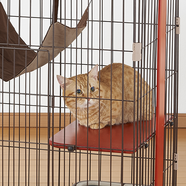 ボンビアルコン オンラインショップ / 【別売用】ウッドワンサークル