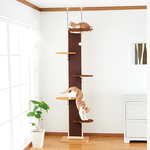 ボンビアルコン オンラインショップ / キャットウォークモダン