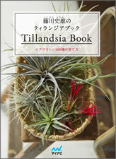 藤川史雄のティランジアブック エアプランツ100種の育て方 | マイナビ