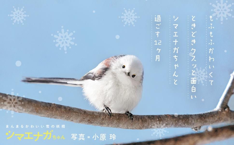 まんまるかわいい雪の妖精 シマエナガちゃん CALENDAR 2024