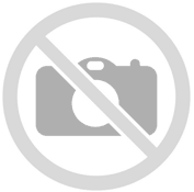 VOLCOM LONGO GORE-TEX GTX PANT G1352506 cnb buy for 256 € | Shop