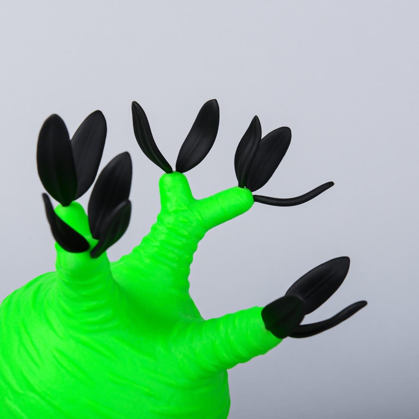 VCD Pachypodium Gracilius Fluorescent Green ＆ Black – BOTANIZE