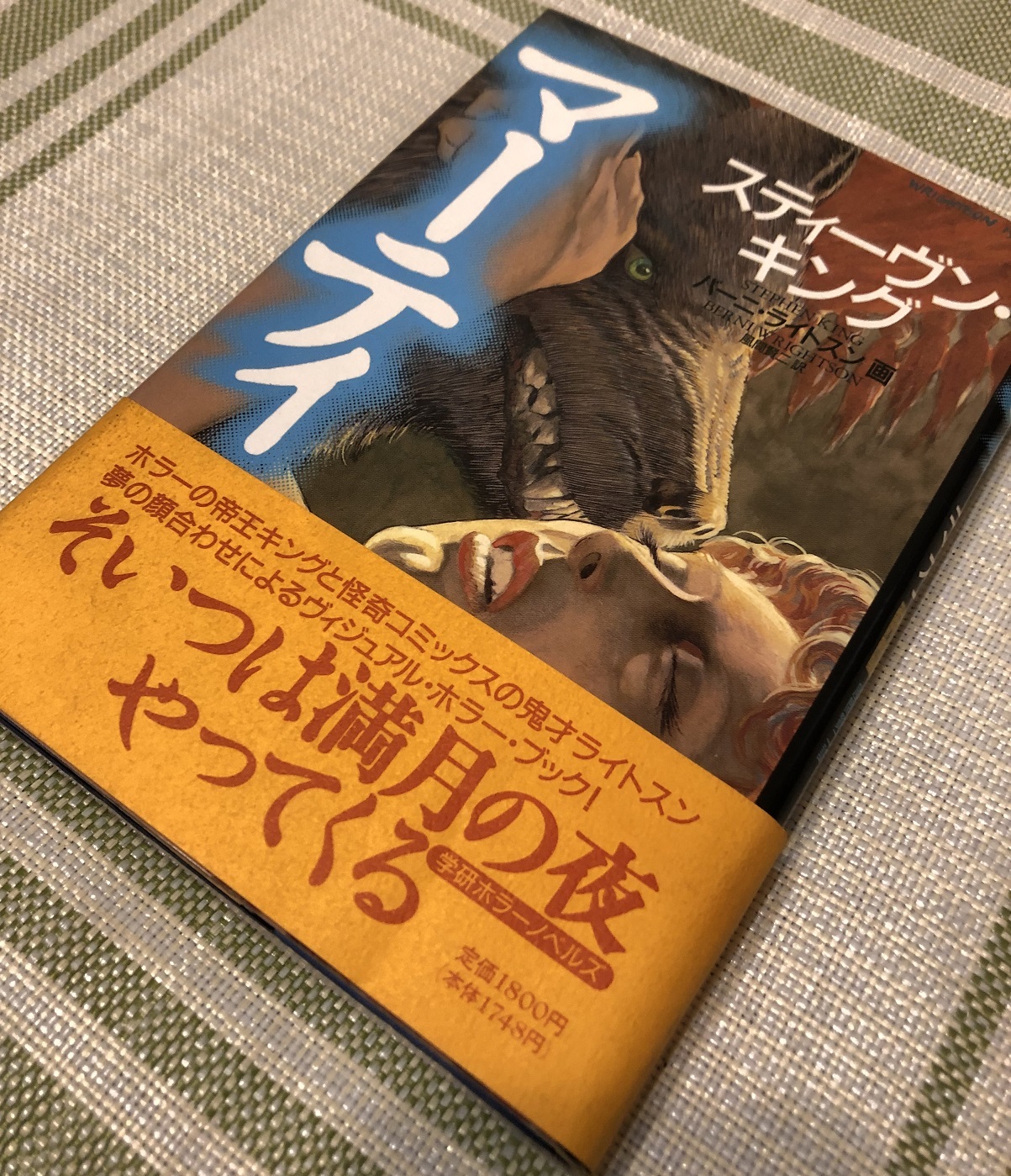 スティーブン・キング論集成 アメリカの悪夢と超現実的光景』読了