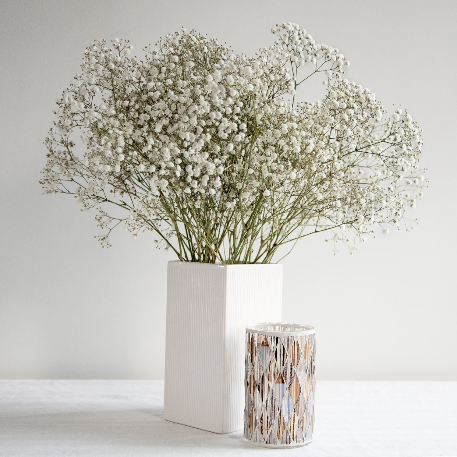 Gypsophila_-