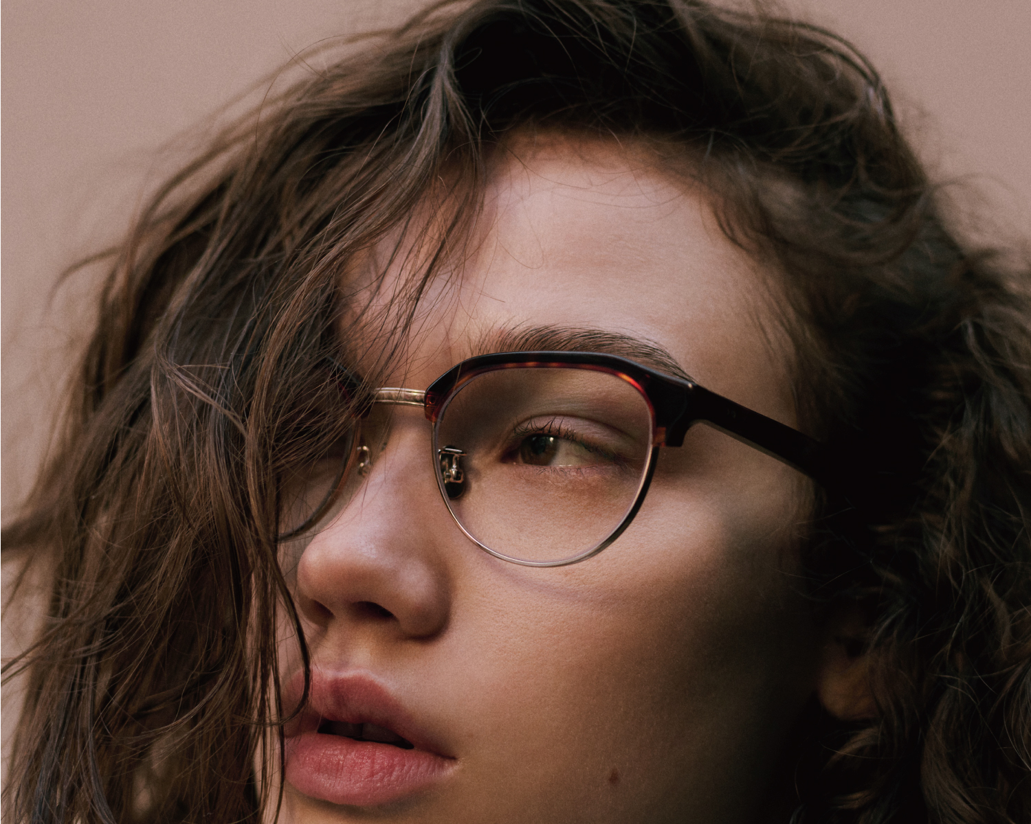 mey) BLANC. 817 BLANC LNT BE006 鼈甲 BLANC. 817 BLANC LNT BE006