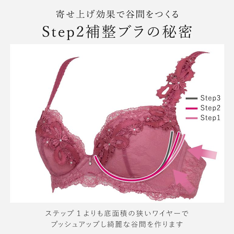 ブラデリス ナオミステップ2ブラ25A2 | ブラデリスニューヨーク【公式