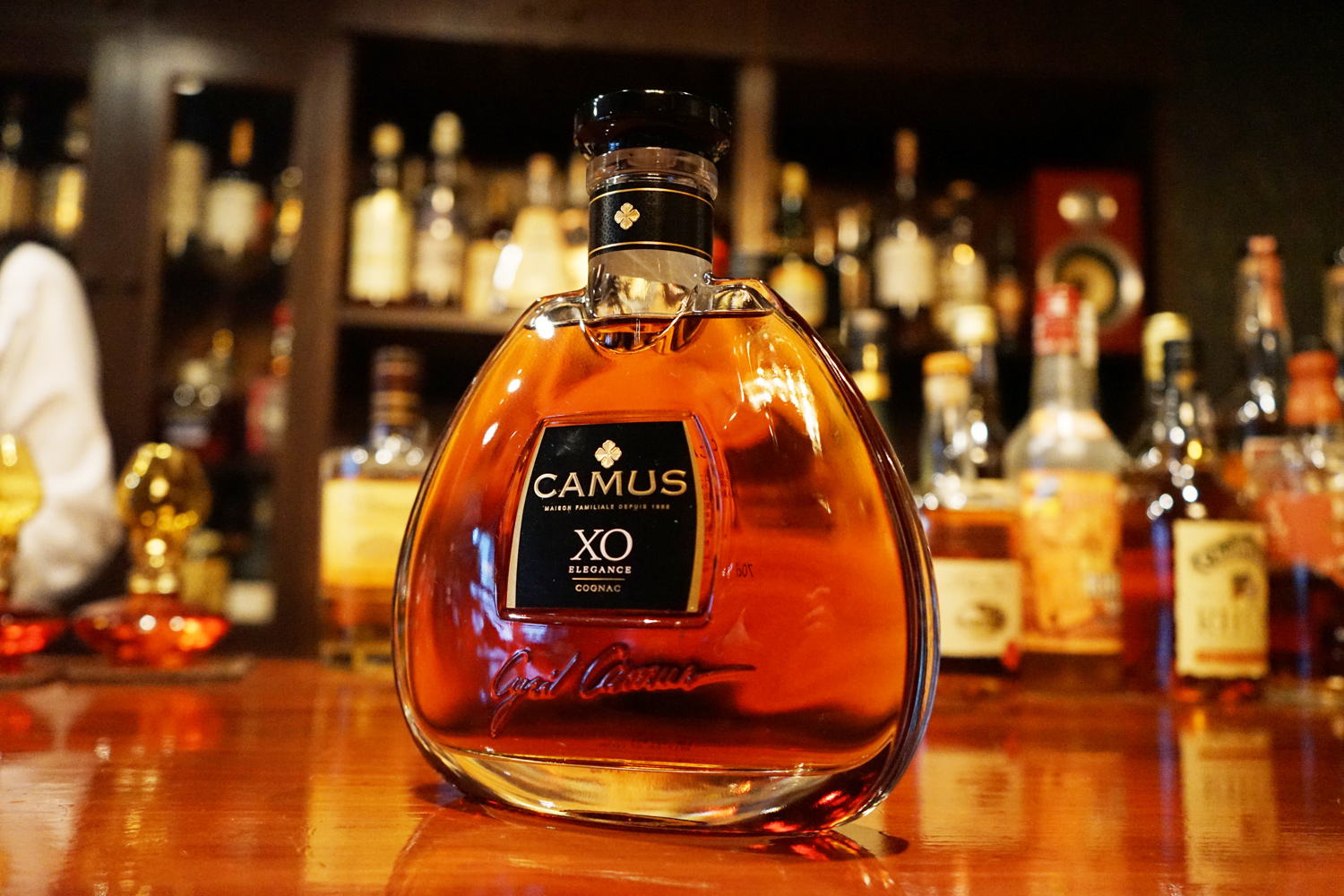 CAMUS ナポレオン & REMY MARTIN XO セット 二本セットREMY MARTIN XO
