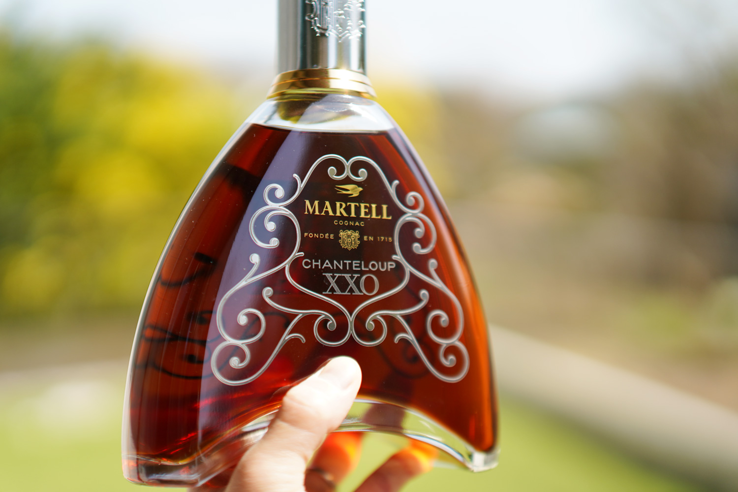 マーテル シャンテルー XXOのレビュー：XXOクラスの実力は