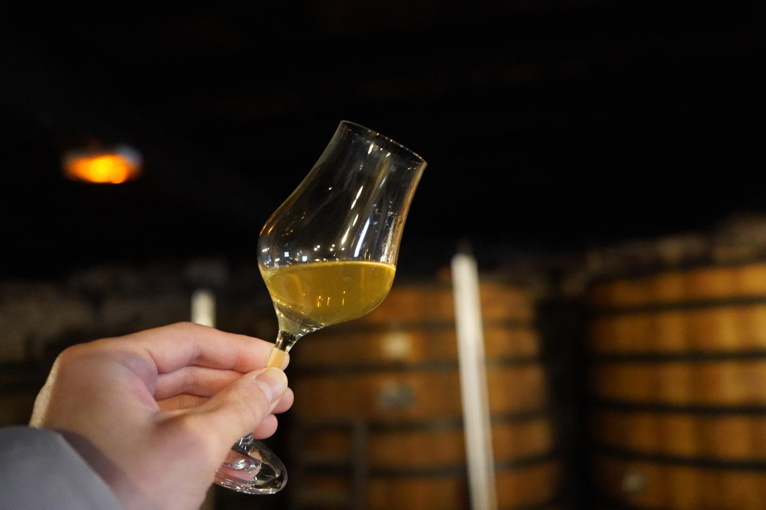 コニャック滞在記2023冬⑲デラマン訪問：神業的加水の秘密はフェーブル