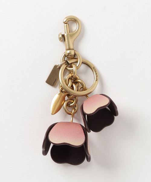 COACH（コーチ）の「【コーチ】オンブレ ティー ローズ バッグ