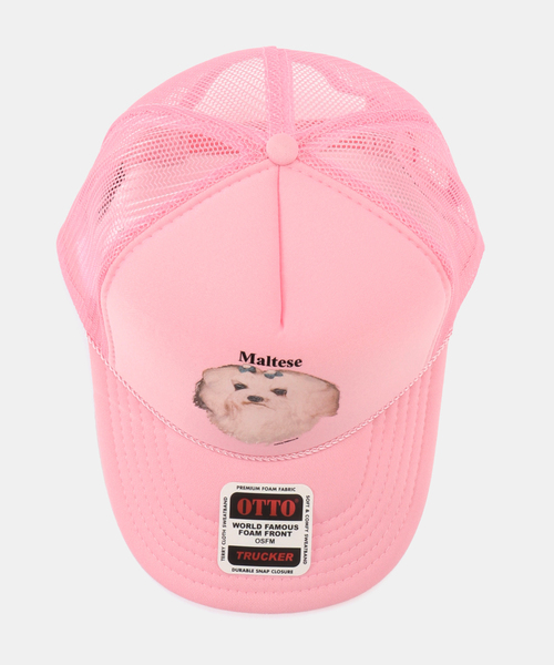 セール】【Ashley Williams 】 PINK CAP（キャップ）｜ASHLEY WILLIAMS